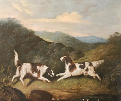 Two Springer Spaniels in a Landscape by Clifton Tomson