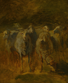 Unfinished Study of Sheep by Constant Troyon