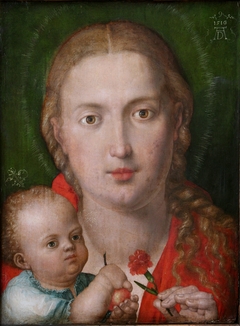 The Madonna of the Carnation by Albrecht Dürer