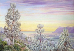 View from the Steps of Table Mountain through a Wood of Silver Trees by Marianne North