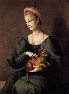 Woman with a Cat by Francesco Ubertini called Bacchiacca