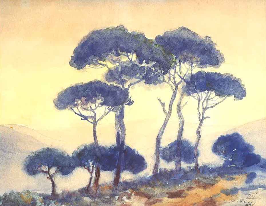 A Group of Pines in Bekfaya