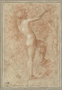 Adam plukt de appel van de boom by Antonio da Correggio