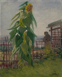 Allotment with Sunflower