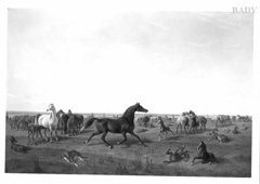 Araberpferde auf der Weide by Johann Erdmann Gottlieb Prestel