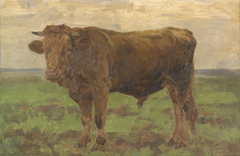 Brauner Stier auf der Weide by Viktor Weißhaupt