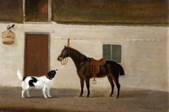 'Bruen', a Spaniel and 'Squirrel', a Black Horse, with a Magpie by Francis Sartorius
