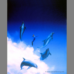 CABRIOLES AVEC LES DAUPHINS, Capering with the dolphins - by Pascal by Pascal Lecocq