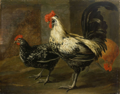 Cockerel and Hens by Pieter Boel