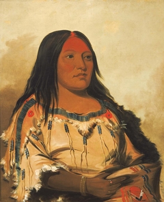 Eeh-nís-kim, Crystal Stone, Wife of the Chief by George Catlin