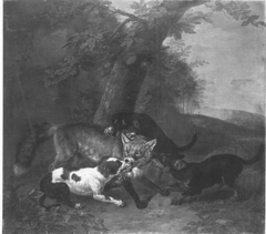 Fuchs wird von Hunden gestellt by Daniel Hien