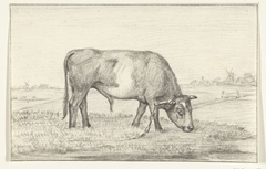 Grazende stier in een wei, naar rechts by Jean Bernard