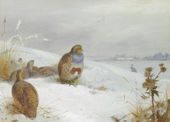 Hard times – partridges and a hare by Archibald Thorburn