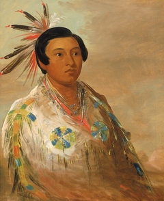 Hee-doh'ge-ats, a Young Man by George Catlin