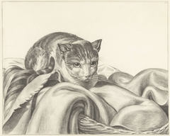 Kat, zittend in een mand by Jean Bernard