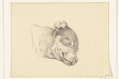 Kop van een slapende hond by Jean Bernard