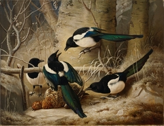 Magpies round a Dead Woodgrouse by Ferdinand von Wright