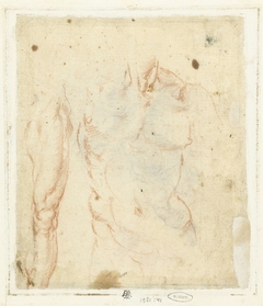 Mannelijk torso en been by Bernardino Poccetti