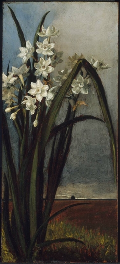 Narcissus on the Campagna by Elizabeth Boott