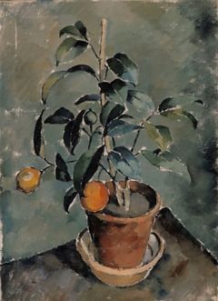 Orange Plant by Karl Isakson