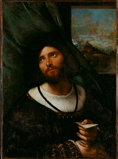 Portrait of a Young Man by Altobello Melone
