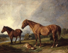 Portraits of Blackthorn, a Broodmare, with Old Jack, a Favourite Pony, the Property of E. Mundy, Esq.