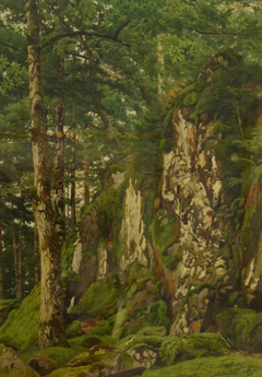 Rocher dans la forêt d'Ottrott by Ferdinand de Dartein