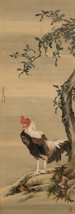 Rooster by Sō Shiseki