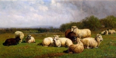 Sheep in the Meadow by James McDougal Hart