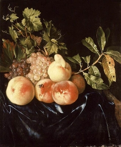 Still-Life of Peaches and Grapes by Willem Frederiksz van Royen