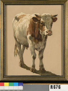 Studie van een jonge stier by Johannes Hubertus Leonardus de Haas