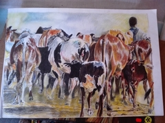 The cattles "Leruo"