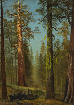 The Grizzly Giant Sequoia, Mariposa Grove, California by Albert Bierstadt