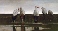 The Storks by Louis Dubois