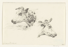 Twee studies van de kop van een koe by Jean Bernard