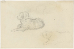 Twee studies van een hond by Jozef Israëls