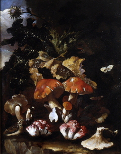 Undergrowth with Mushrooms by Paoluccio Cattamara