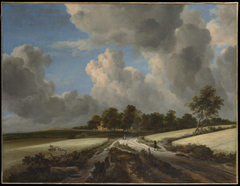 Wheat Fields by Jacob van Ruisdael