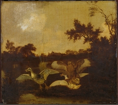 A Buzzard Attacks two Ducks by Dirck Wijntrack