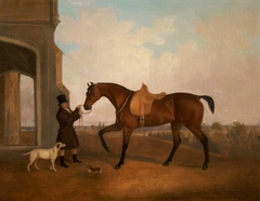 A Horse and Groom outside a Porch