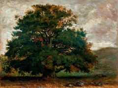 A Tree in Fontainebleau Forest by Théodore Rousseau