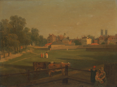 A Western View of part of Westminster and Bird Cage Walk taken from the Mill House..., by George Arnald