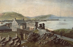 Aberystwyth Castle and harbour by C Richards