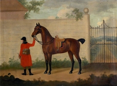 Bay Horse outside a Gate