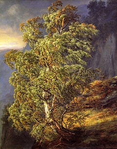 Birch Tree in a Storm by Johan Christian Dahl
