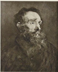 Bust of a Bearded Man by Anthony van Dyck