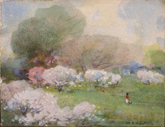 Cherry Blossoms by William Henry Holmes