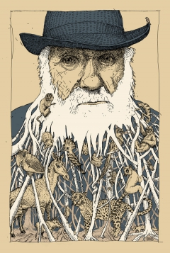 Darwin by Barry Bruner