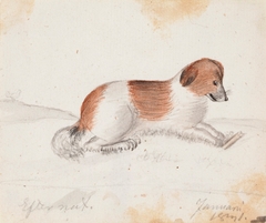Dog by Ferdinand von Wright