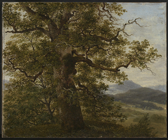 Eichbaum in Landschaft by Georg Wilhelm Issel